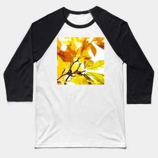 Autumn colors, leaves #oil #on #canvas 1 Baseball T-Shirt